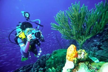 A tourist enjoys scuba diving in Sihanoukville, Cambodia in summer