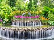 Take Tour Seewoosagur Ramgoolam Botanical Garden Explore Mauritius’ Best Biodiversity