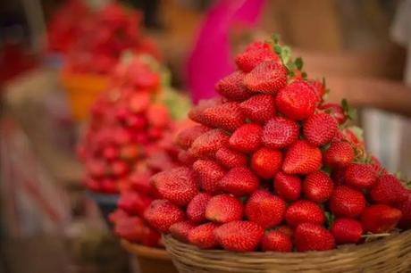 50 Weekend Getaways Near Pune For A Quick Vacation In 2023! 50 Weekend Getaways Near Pune For A Quick Vacation In 2023!