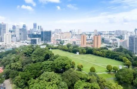 Fort Canning Park: A Guide To Singapore’s Architectural Marvel Explore flora and fauna