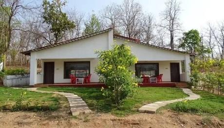 Scenic view of Wild Wood