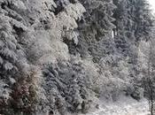 This Guide Will Help Witness True Beauty Winter Wonderland Germany!