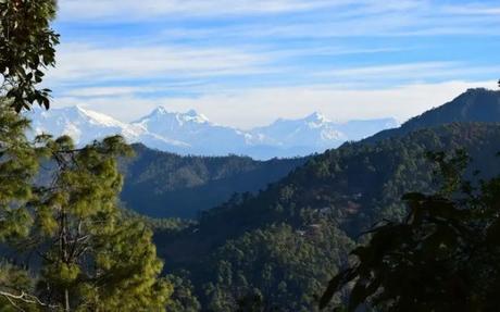 Snow capped mountains and pine trees 