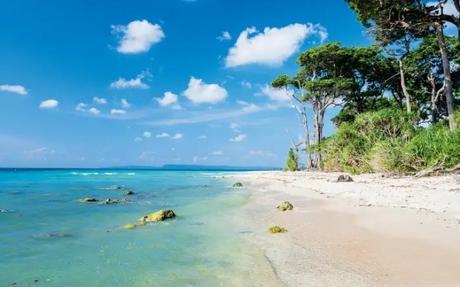 A white sand beach lined by blue waters and trees 