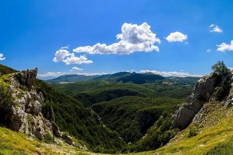 mountain in the backdrop of national park