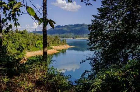 Shutterstock_533895292