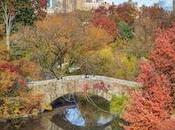 What Documents Need Manhattan Shipping