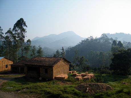 mountain-scenery-in-rwanda-africa