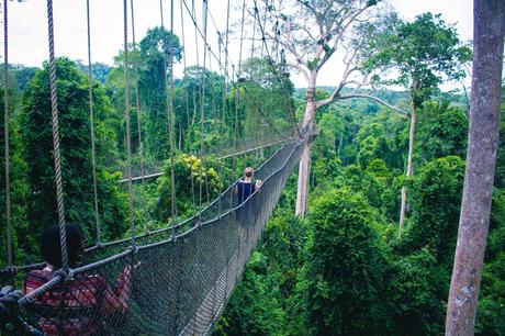 ghana-kakum-canopy-walk