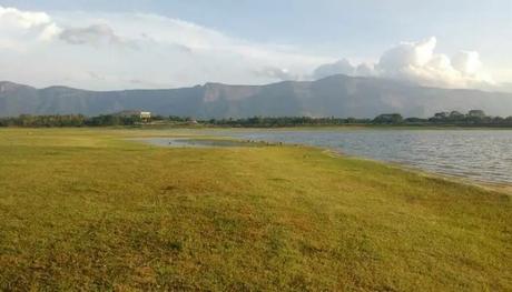 A scenic view from Meenkara Dam