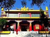 Places Visit Solan 2023 Where Completely Immerse Yourselves Nature!