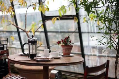 Enjoy Your New Your Vacay By Hanging Out At These 10 Best Cafes Pigeon