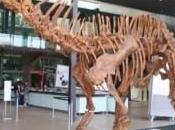 History Science Buff Wander Through Amazing Museums Melbourne!