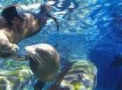 Does Watching Exotic Wildlife Close Thrill You? Then Must Visit This Unique Sanctuary!