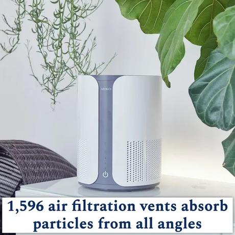 Home Air Purifier with True HEPA Filter