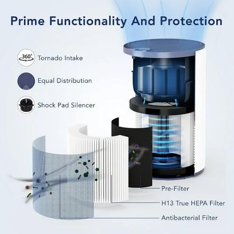 Home Air Purifier with True HEPA Filter