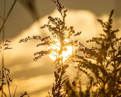 Precipitating sunlight