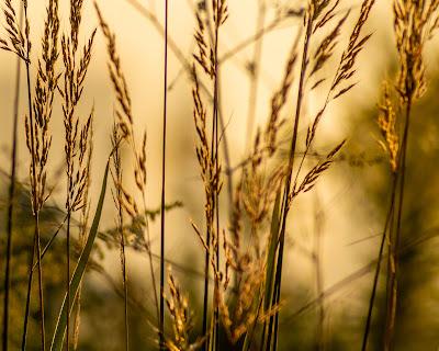 Precipitating sunlight