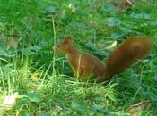 Witness Wildlife Moldova Glory With This Handy Little Guide