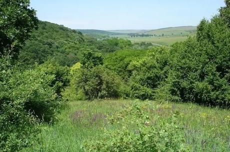 Kodru Natural Reservation