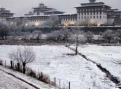 Read This Guide About Thimphu Know What Store