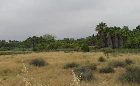 Ria Formosa Natural Park