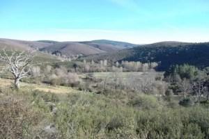 Montesinho Natural Park