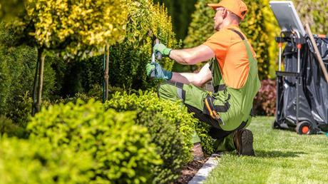 Sow, Grow, Glow: Post-Landscaping Cleanup Made Simple!