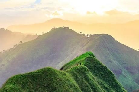 Shutterstock_365035469