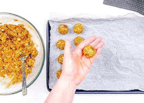 Pumpkin Protein Balls