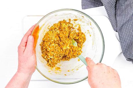 Pumpkin Protein Balls