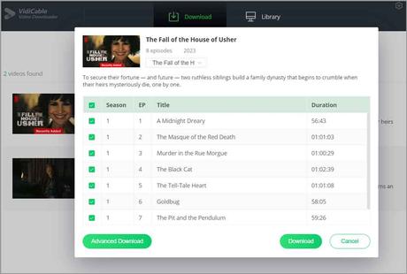 VidiCable Review Download entire playlists