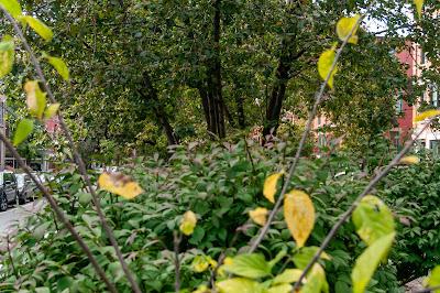 Getting ready for Fall