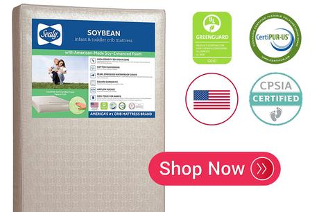 Sealy Soybean Crib Mattress Review Sealy Soybean Crib Mattress Review