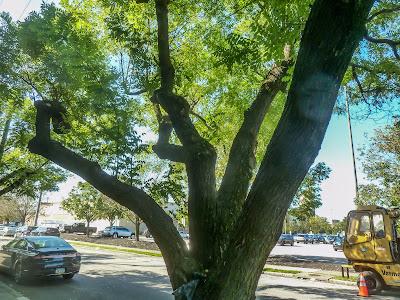 Return to South Philly