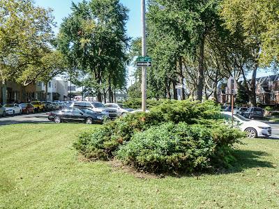 Return to South Philly