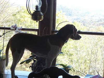 Discipline in the Home is the Linchpin of Order