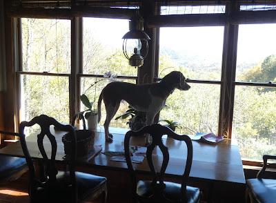 Discipline in the Home is the Linchpin of Order