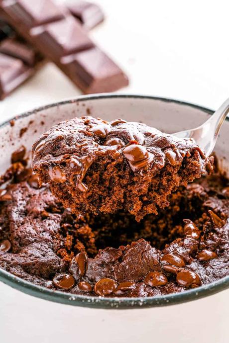 Vegan Mug Cake (10 Ways!)