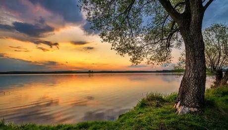 Vilinijyambakkam Lake is one of the exciting places to visit in Avadi that offers a mesmerizing view.