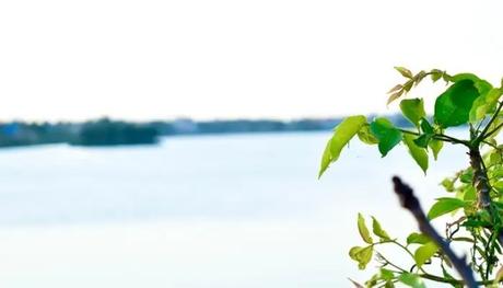 Paruthipattu Lake Green Park is one of the best places to visit in Avadi for nature lovers