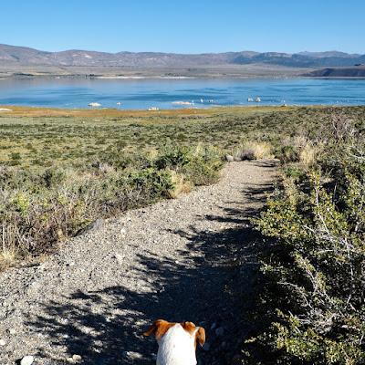 Mono Lake—the Simple Life