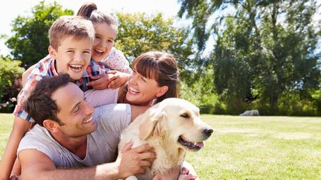 7 Comfort-Driven Ways for Families with Kids to Honor Pet Companions in Home Design