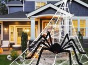 Plenty Creepy Crawlies!