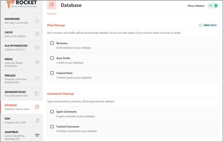 WP Rocket Review & Tutorial: Is it Worth it? WP Rocket review One click and automated Cleanup