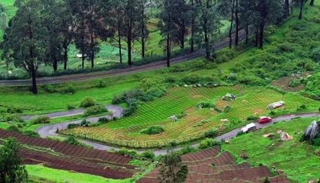 ooty