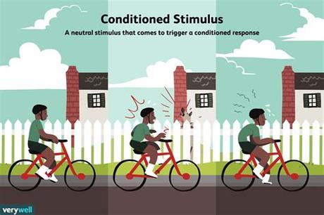 What Is A Conditioned Stimulus