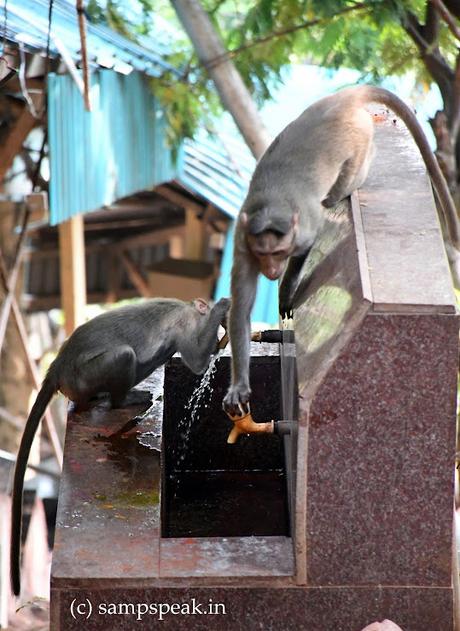 How to drink water !?!?
