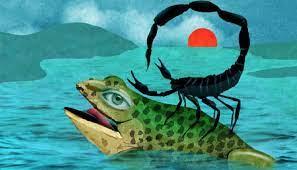 The Frog and the Scorpion The Frog and the Scorpion