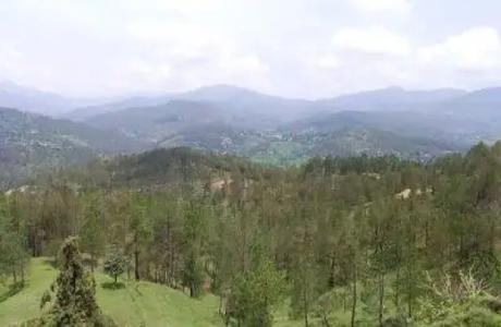 A captivating view of Kausani Mountains which is the best among lesser-explored rejuvenating camping locations